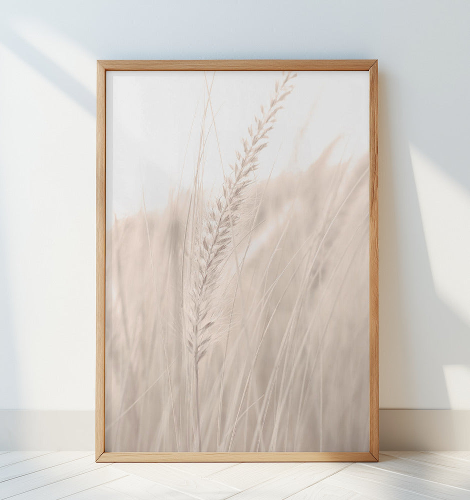 Grass_001 Poster och Canvastavla