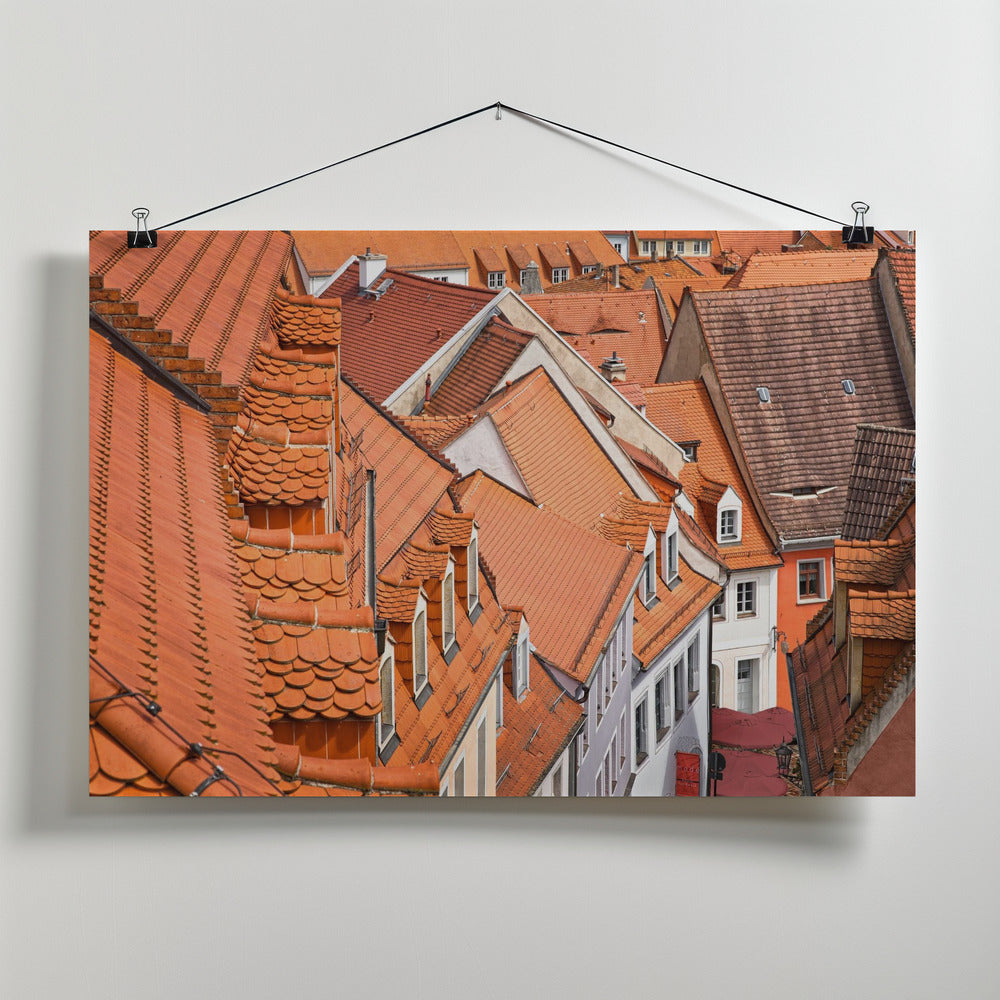 The color of these roofs... Poster och Canvastavla