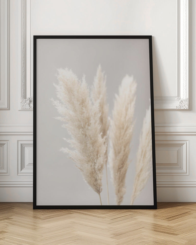 Pampas Grass Grey 02 Poster och Canvastavla