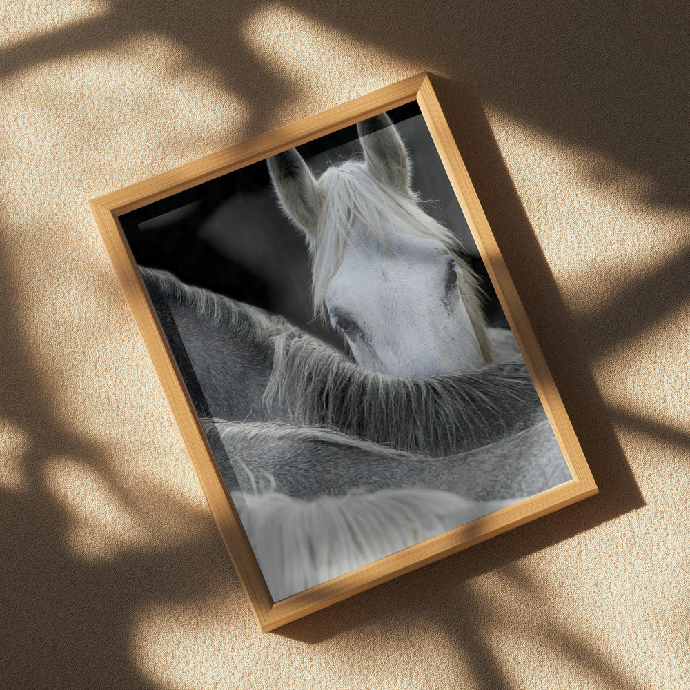 Look Poster och Canvastavla