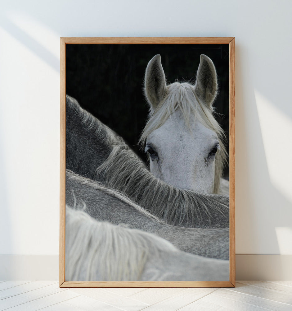 Look Poster och Canvastavla