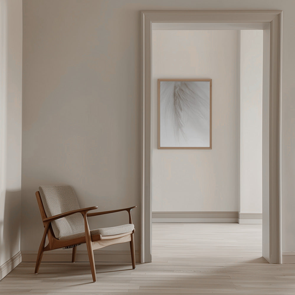 White Feather Poster och Canvastavla