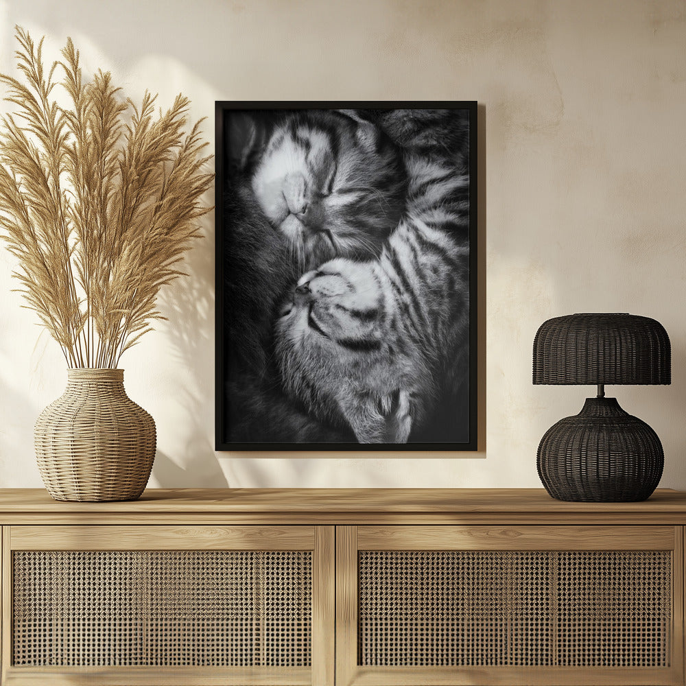 Yin and Yang Poster och Canvastavla