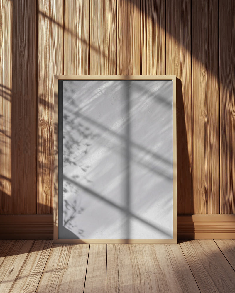 Shades of White in Morocco Poster och Canvastavla