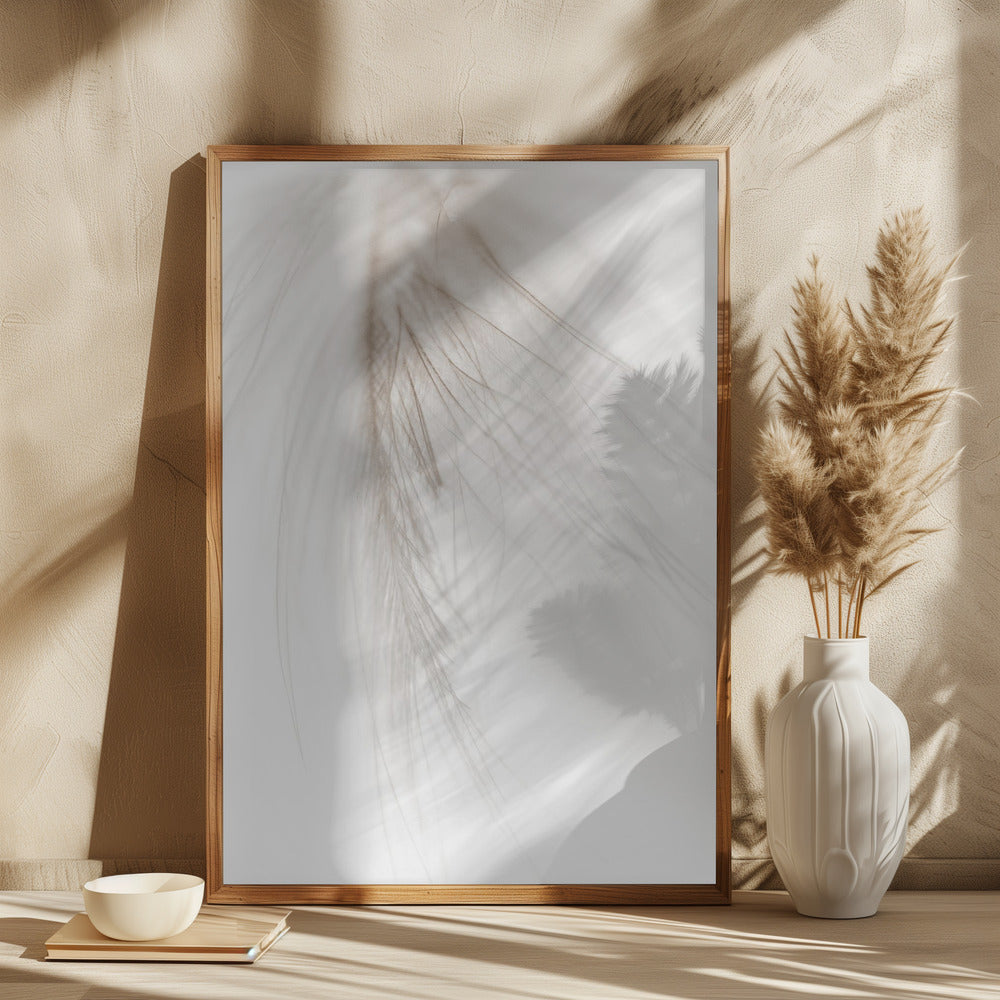 White Feather Poster och Canvastavla