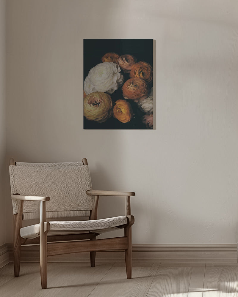 Ranunculus Poster och Canvastavla