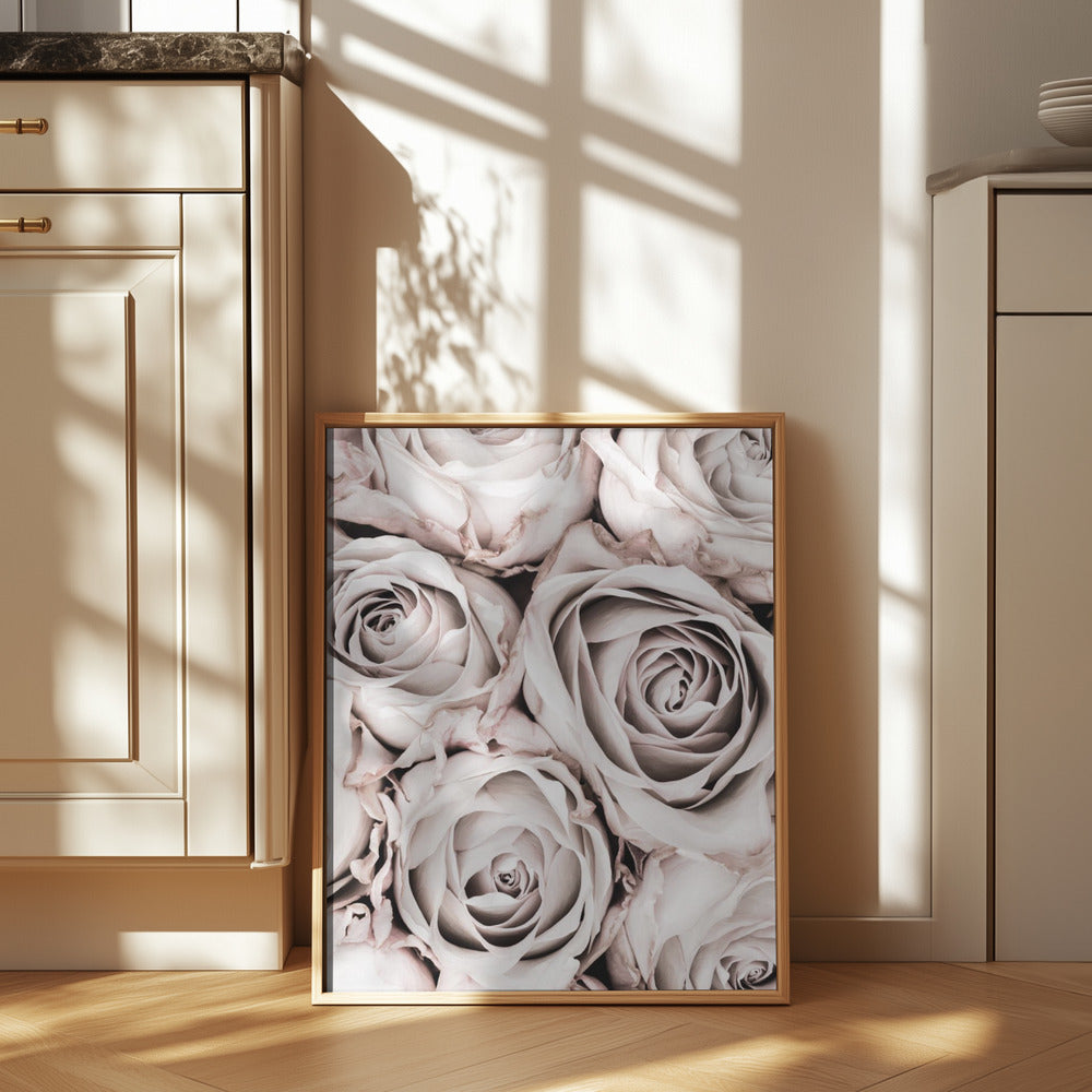 Grey Roses No 01 Poster och Canvastavla