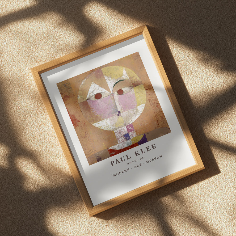 Senecio Baldgreis 1922 Poster och Canvastavla