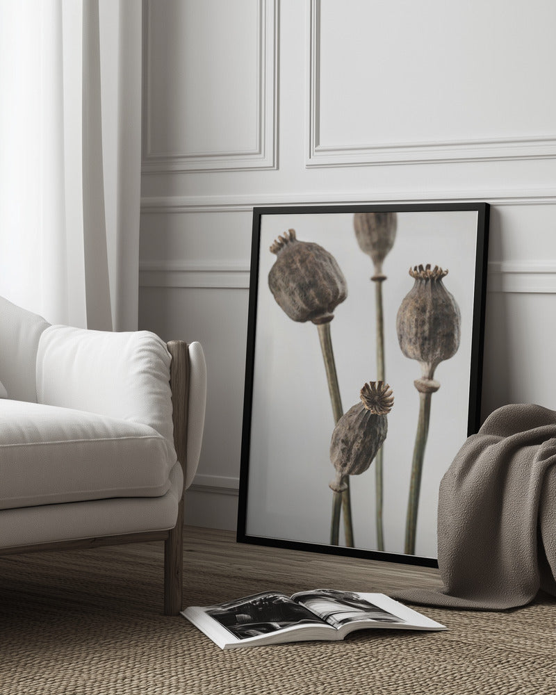 Dried_006 Poster och Canvastavla