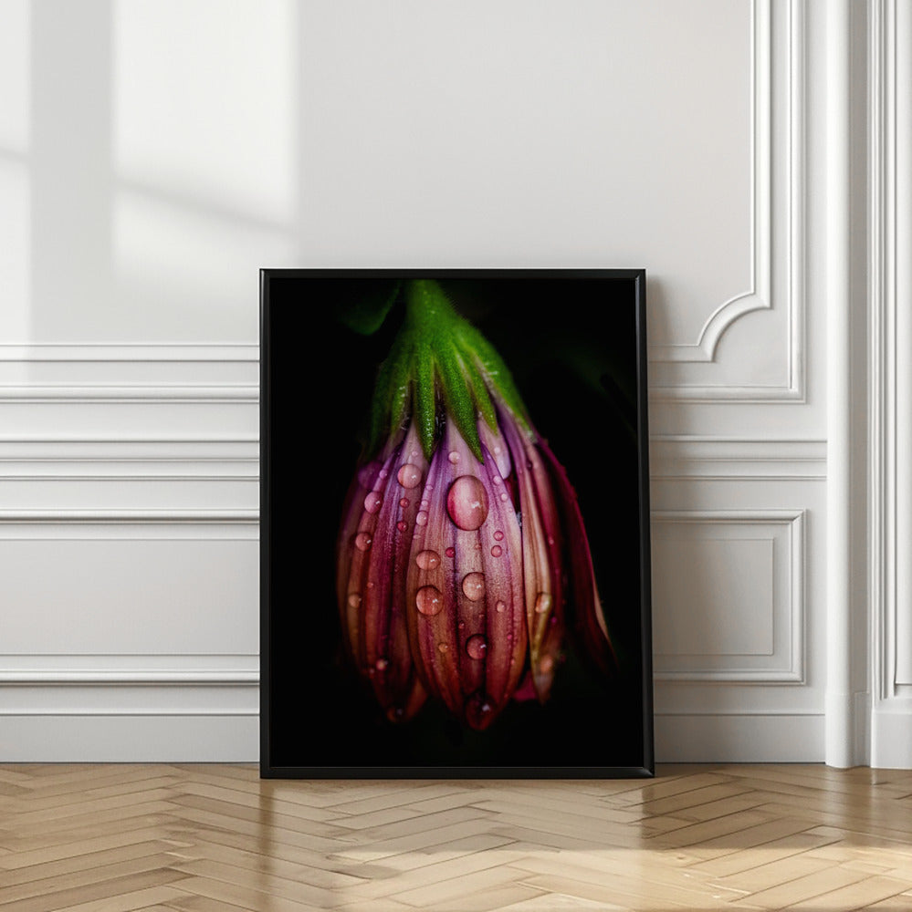 After the rain Poster och Canvastavla