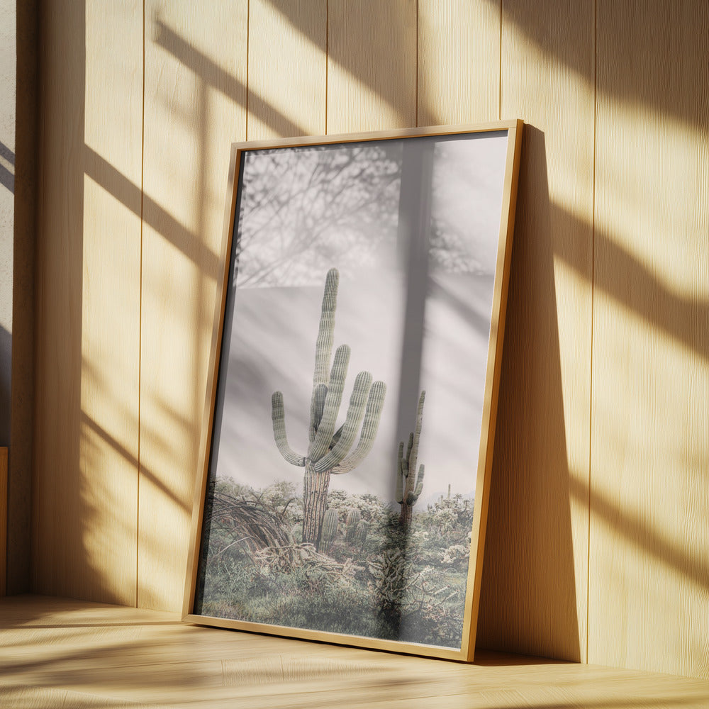 Pink Saguaro Poster och Canvastavla