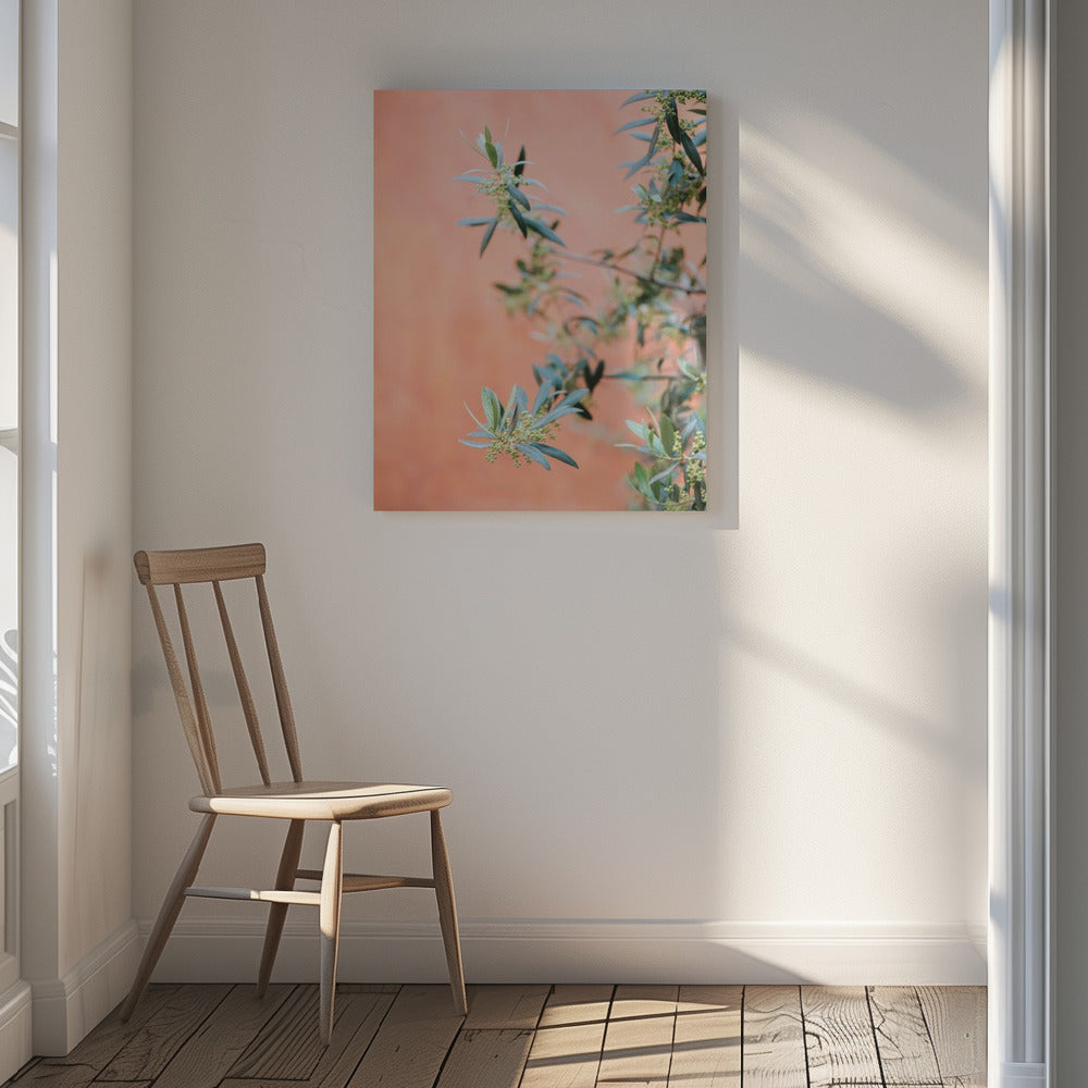 Green and coral Poster och Canvastavla