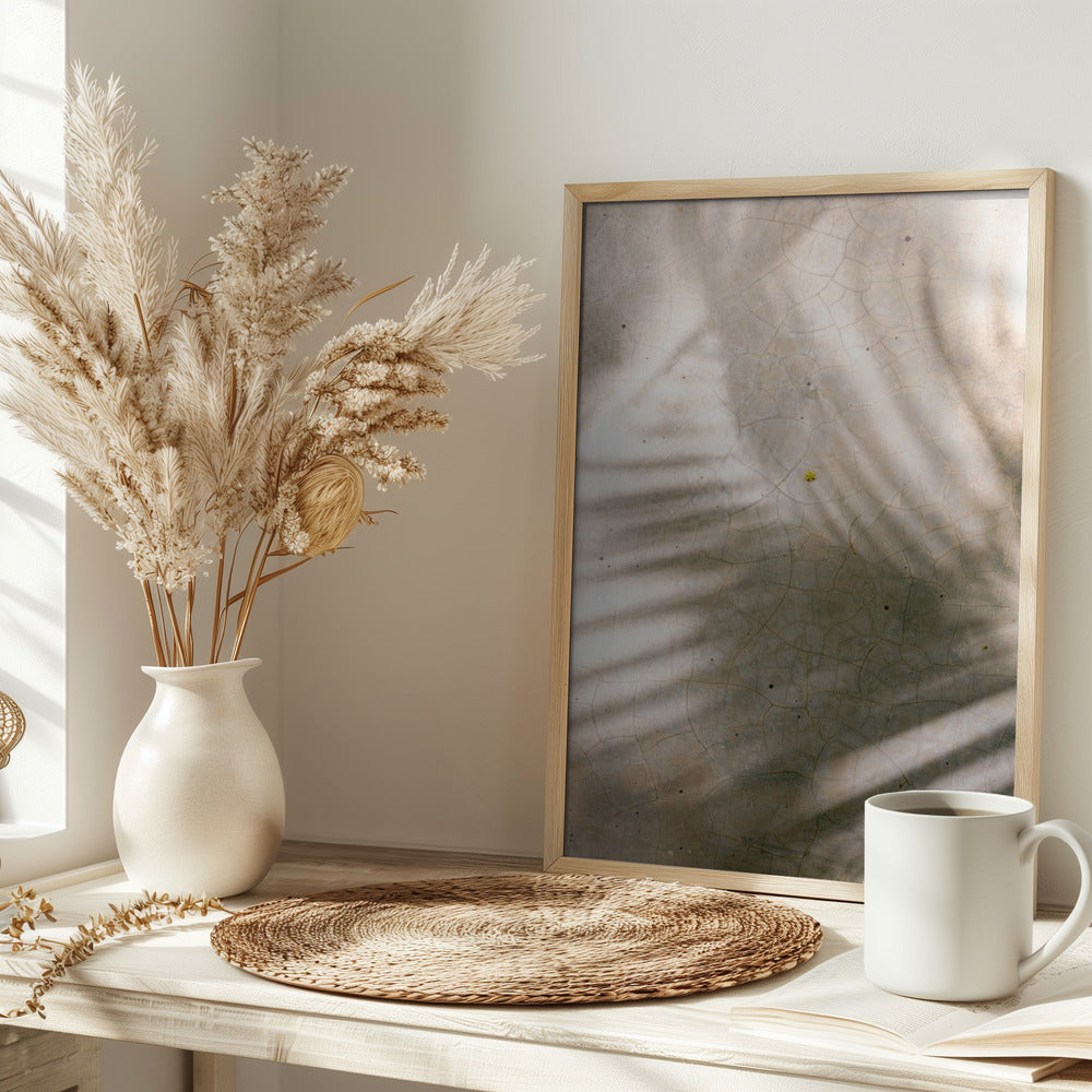 Palm Shadows Poster och Canvastavla