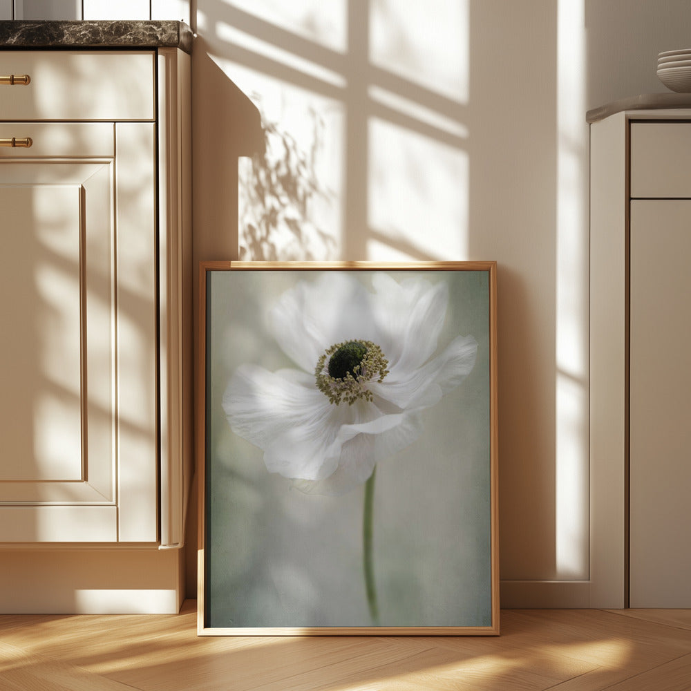 Single White Poster och Canvastavla