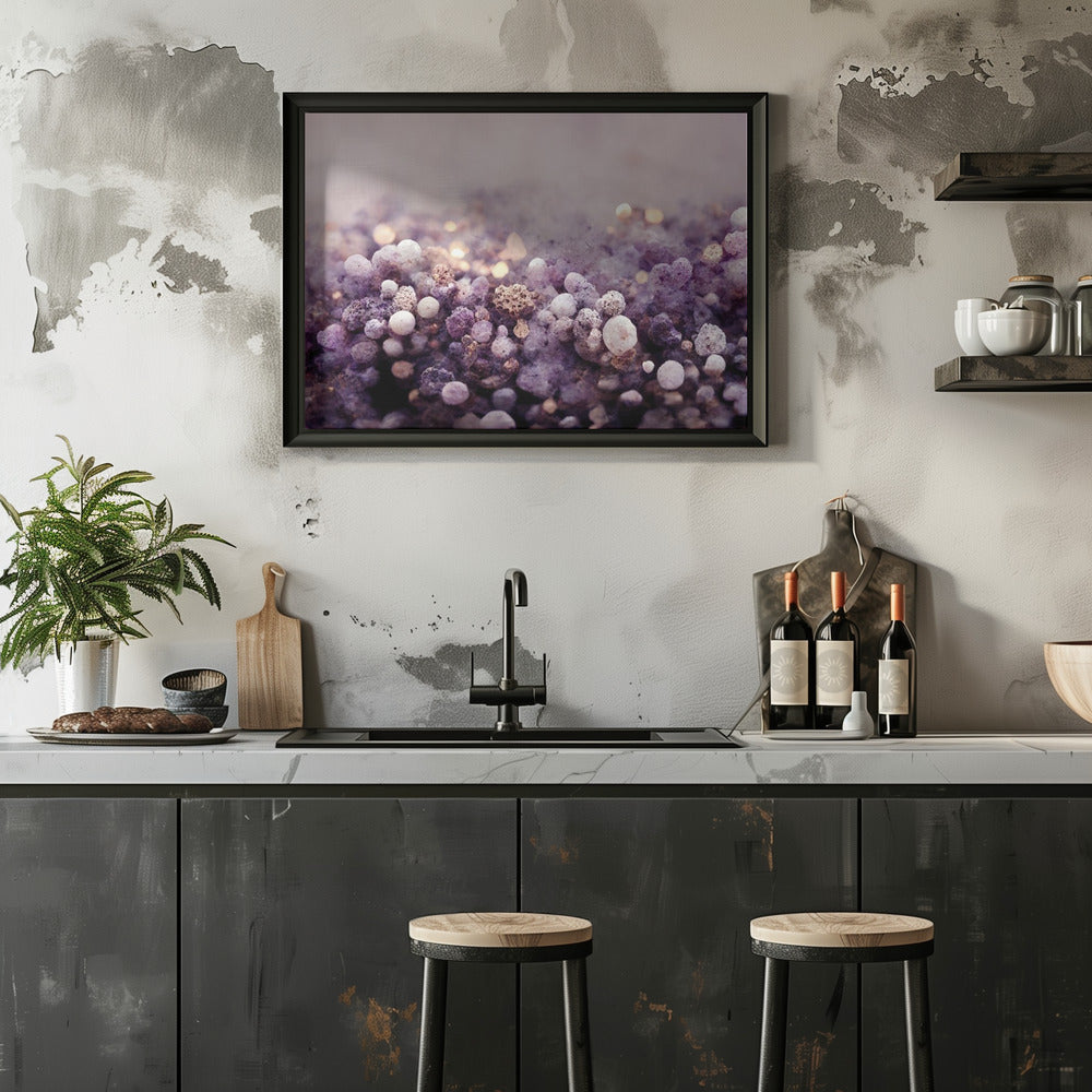 Purple Pepples Poster och Canvastavla