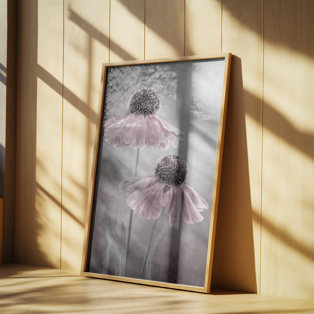 Duet Poster och Canvastavla