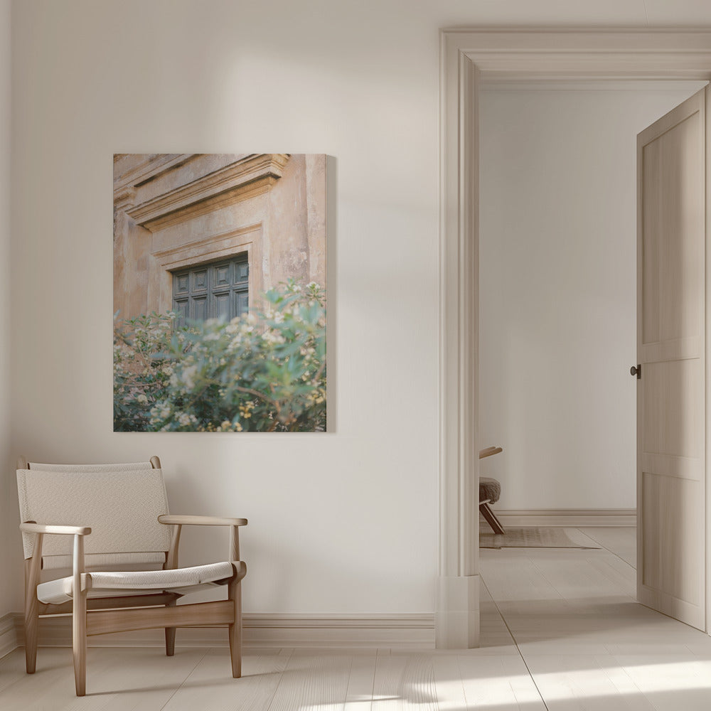 Botanical Trastevere Rome Poster och Canvastavla