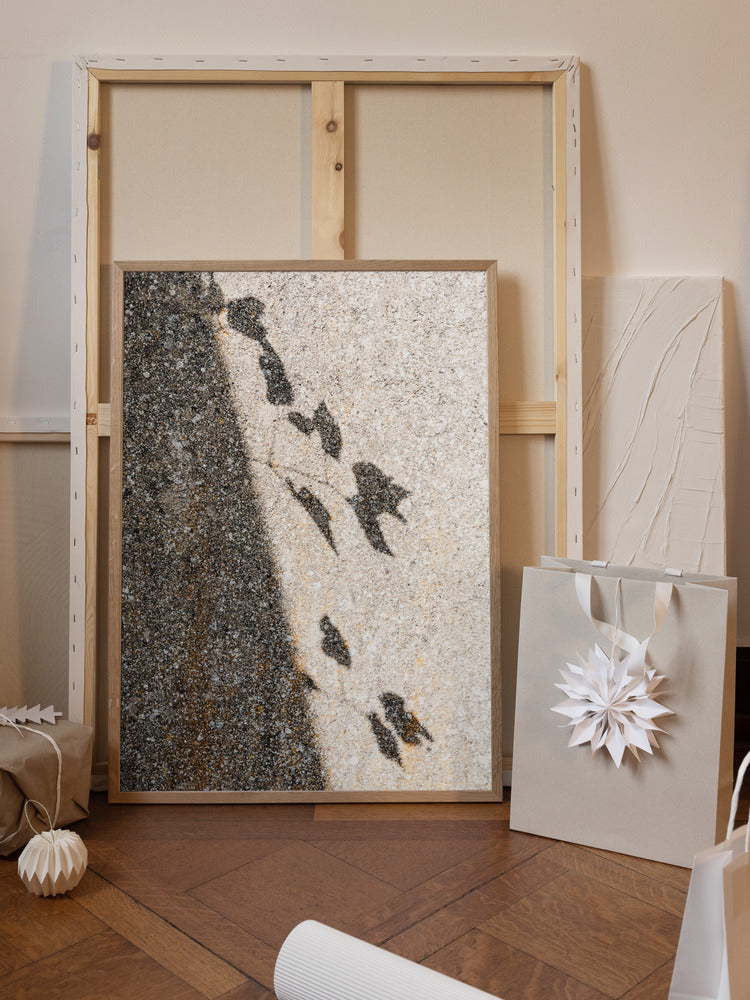 Botanical shadow on the wall Poster och Canvastavla