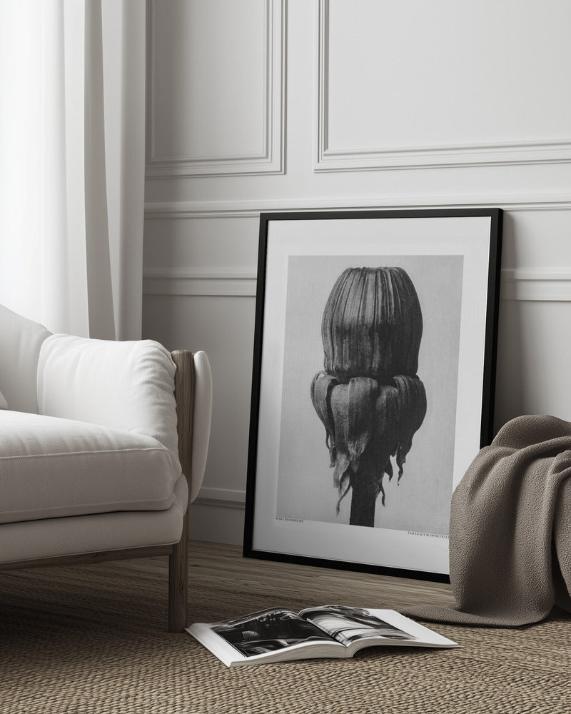 Taraxacum Officinale Poster och Canvastavla