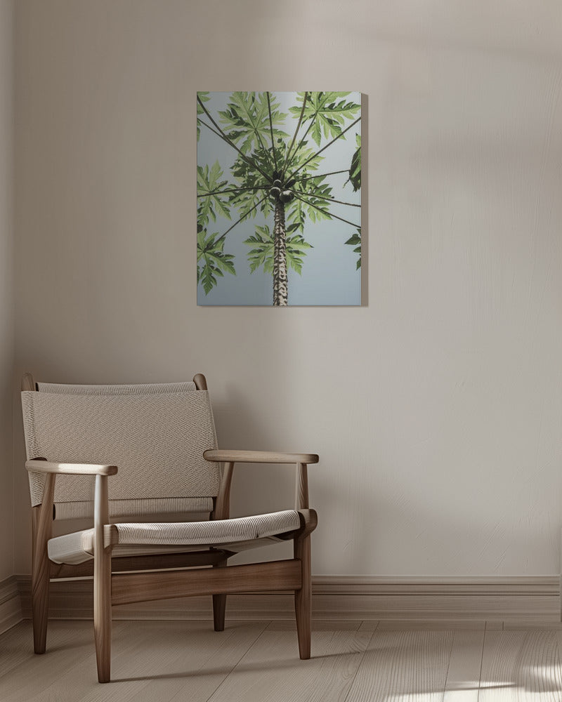 Paw Paw Poster och Canvastavla