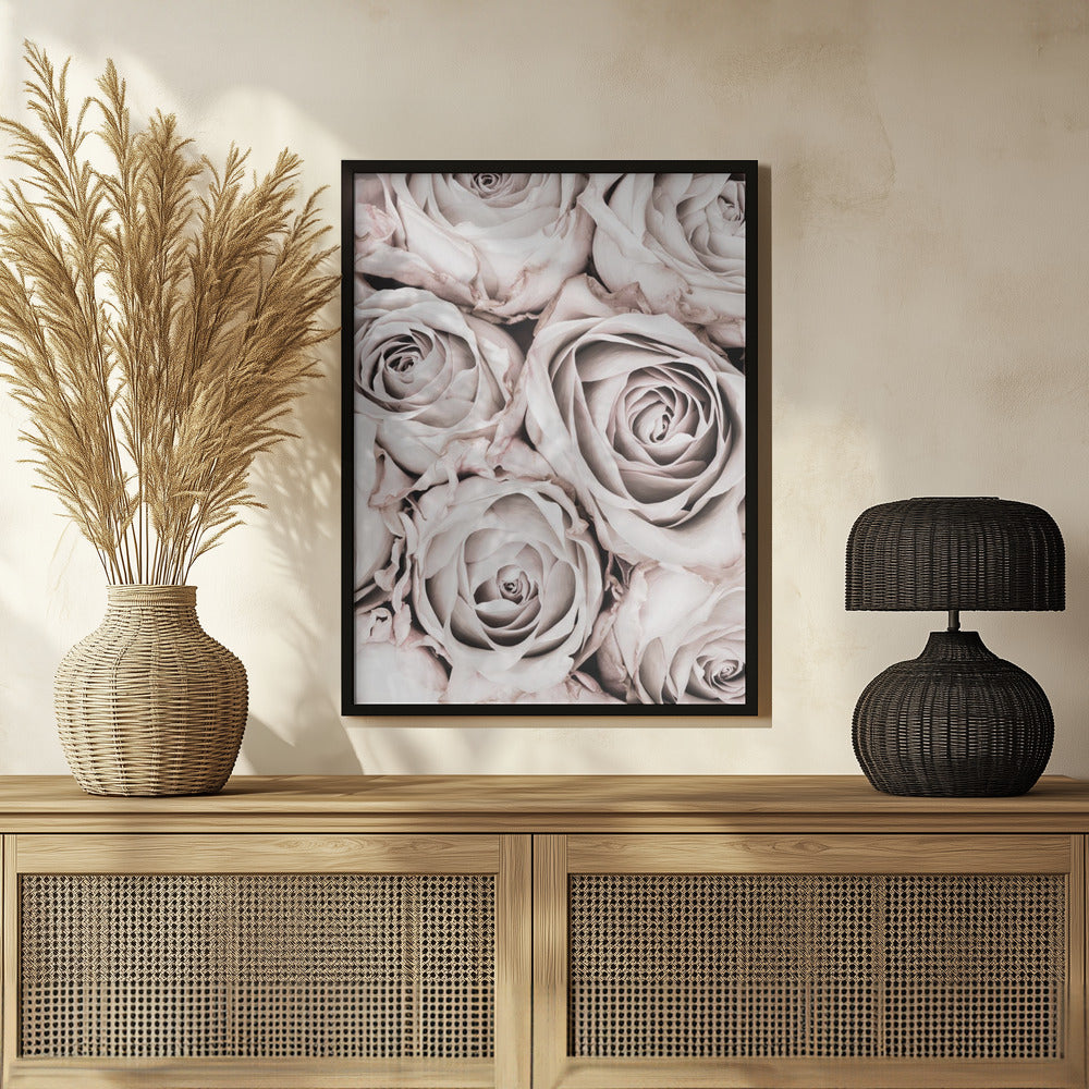 Grey Roses No 01 Poster och Canvastavla