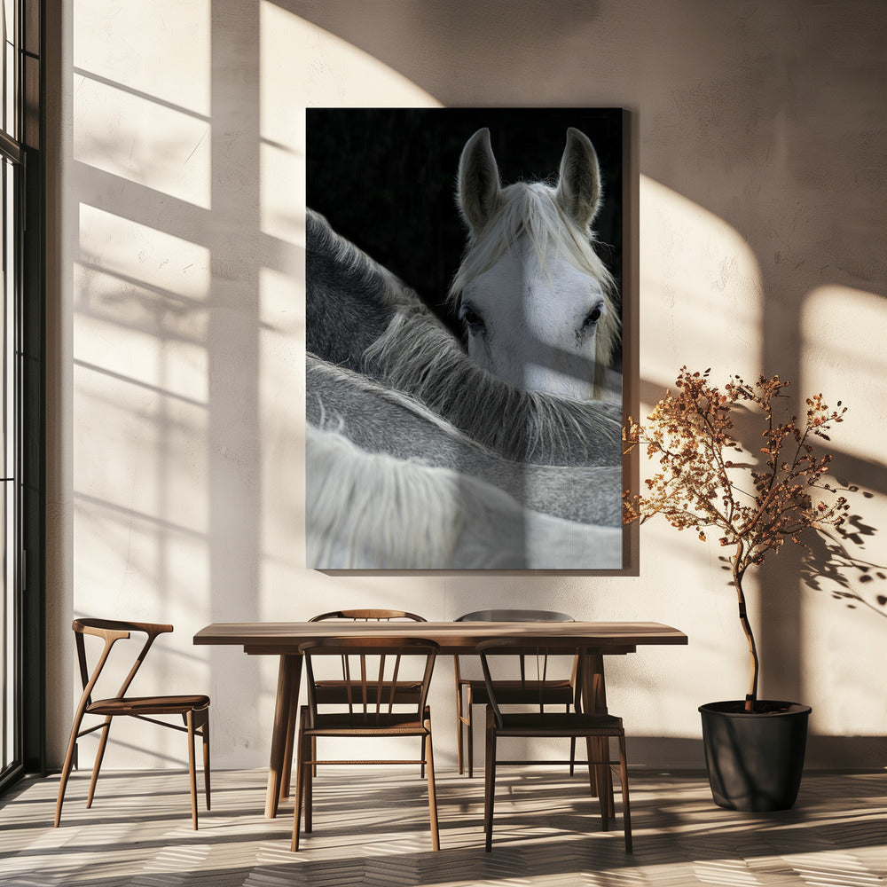 Look Poster och Canvastavla