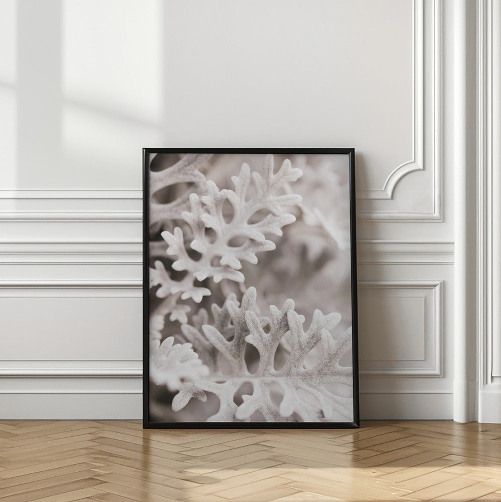 Silver Leaves Poster och Canvastavla