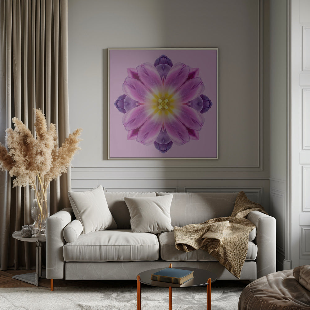 my secret garden (tulips) Poster och Canvastavla