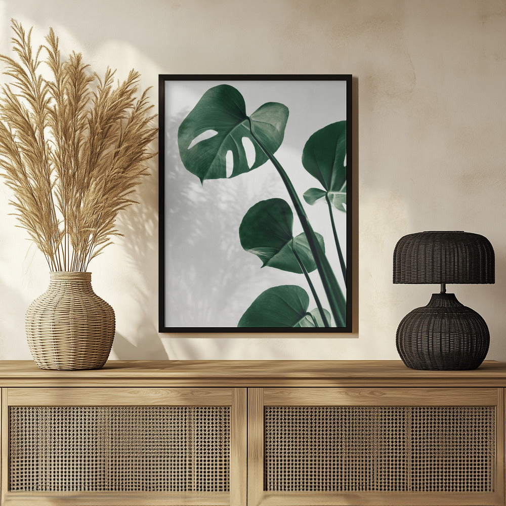 Monstera Natural 38 Poster och Canvastavla