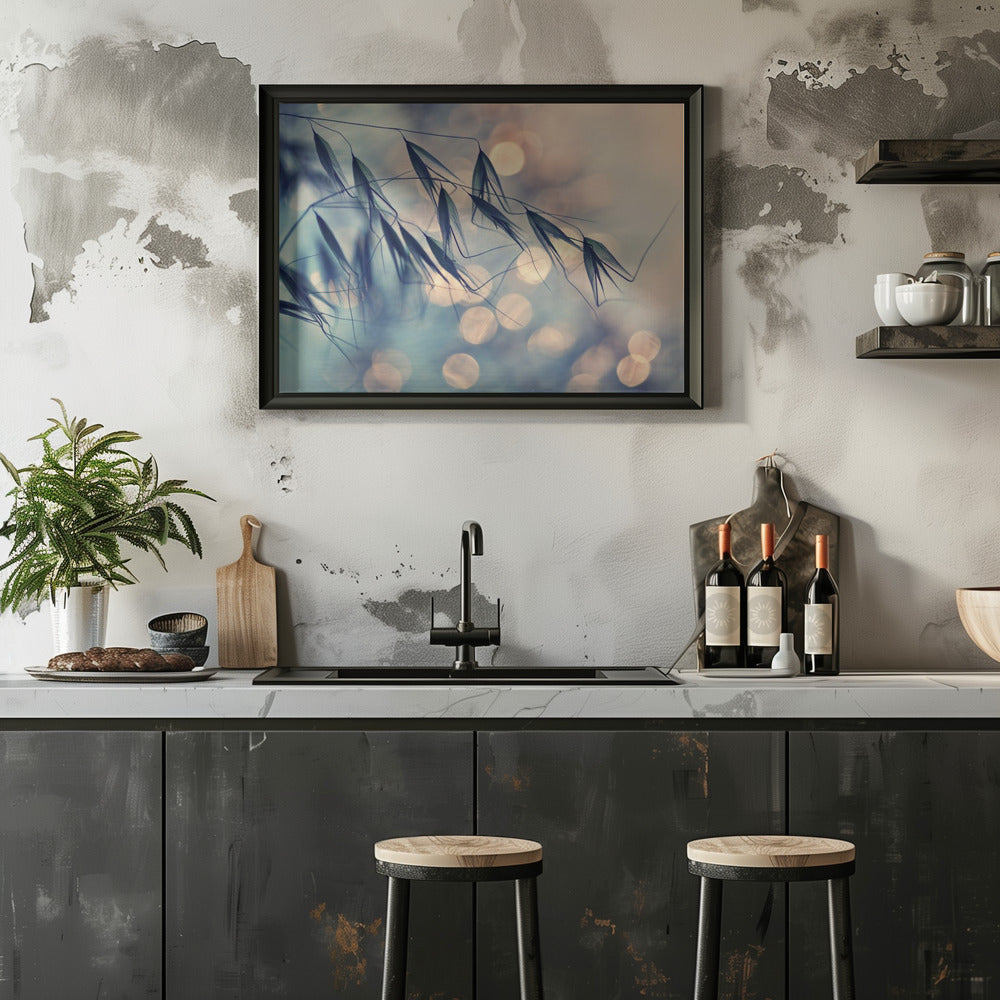 ...<<< Poster och Canvastavla