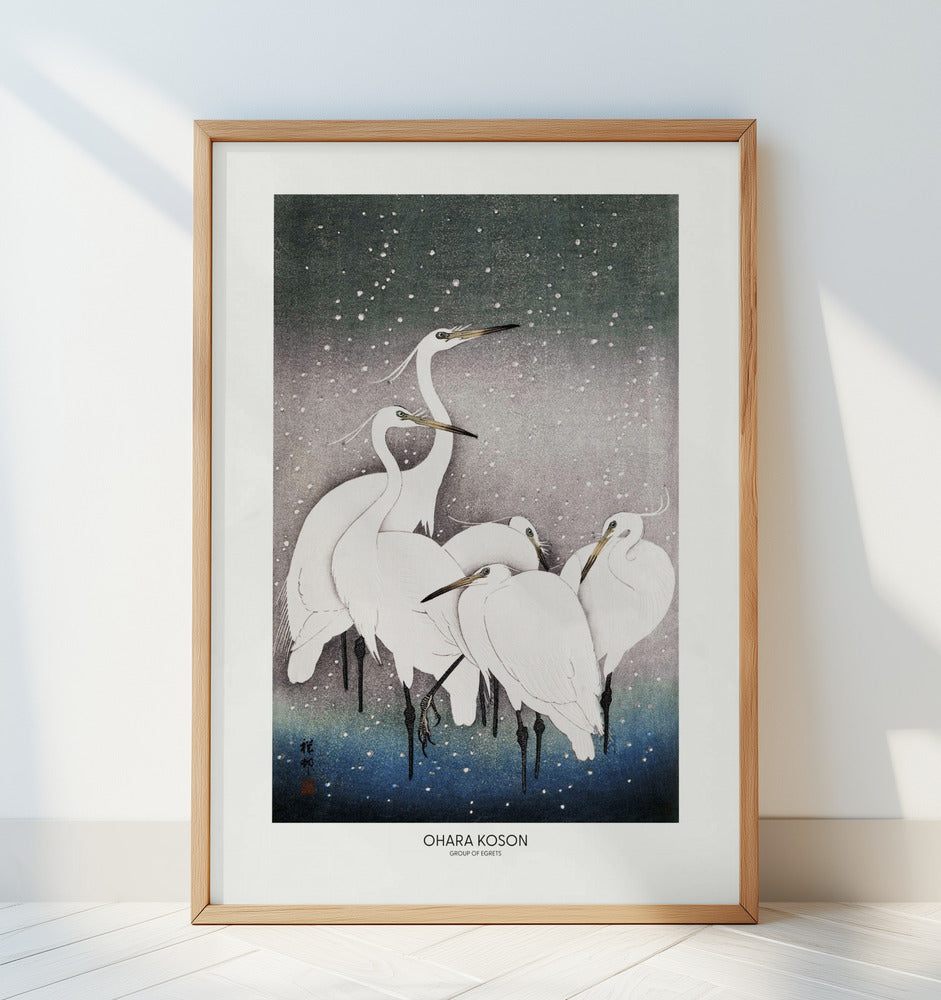 Group Of Egrets Poster och Canvastavla