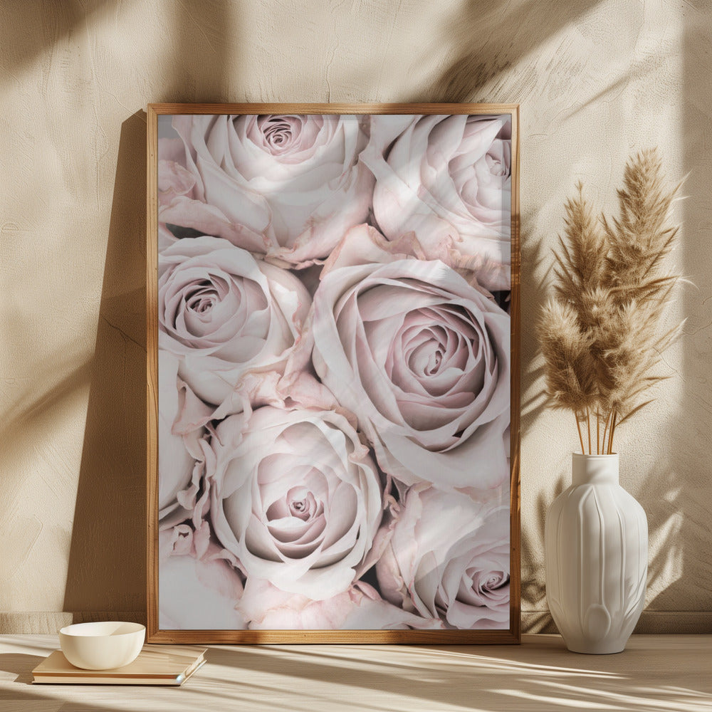 Pink Roses No 01 Poster och Canvastavla
