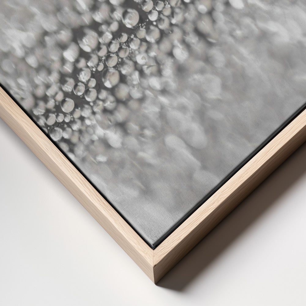 Drops 1 Poster och Canvastavla