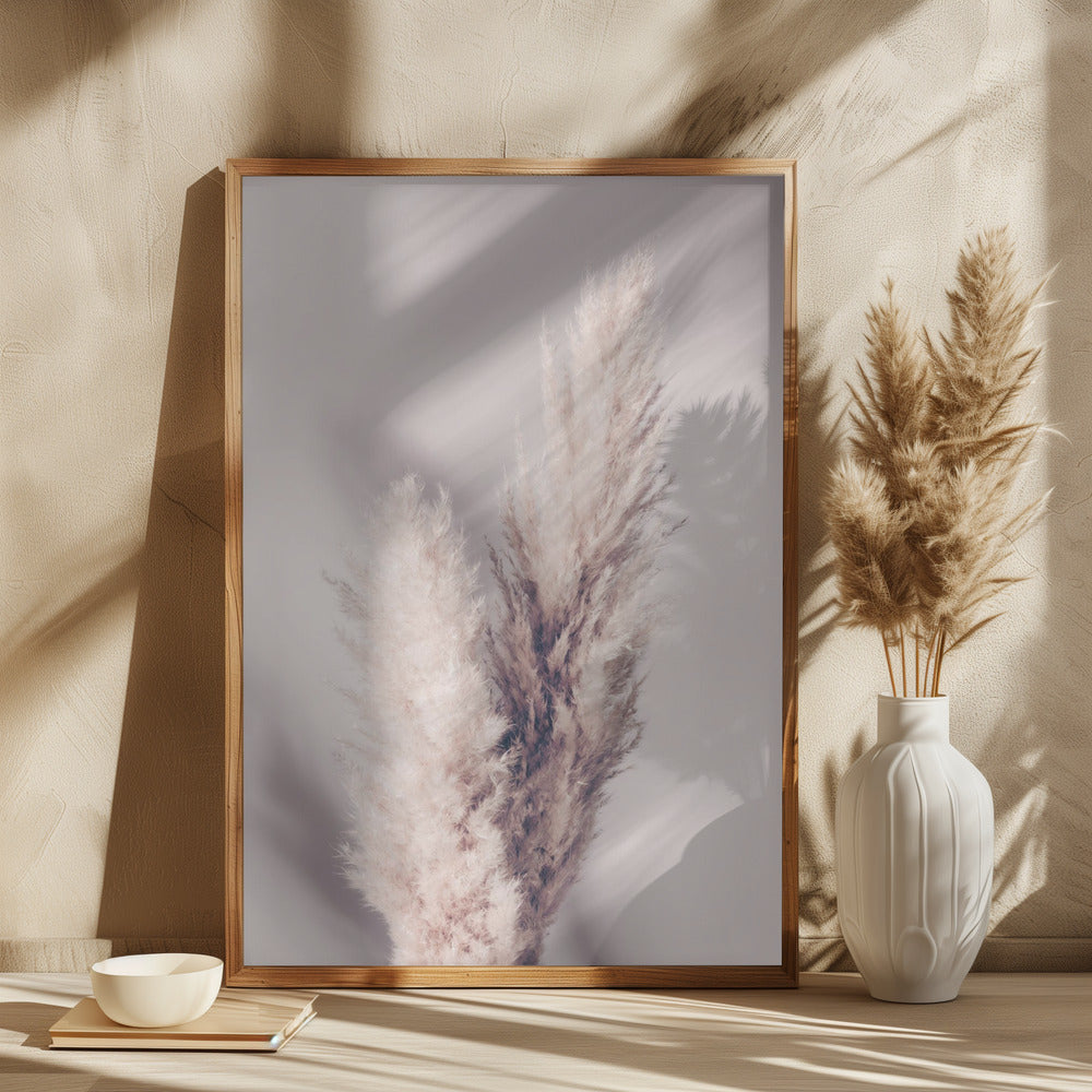 Pampas Grass Poster och Canvastavla