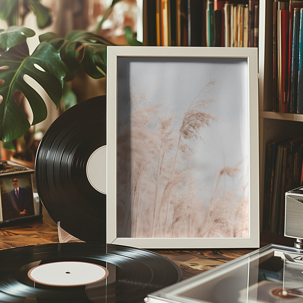 Grass Reed and sky_1 Poster och Canvastavla