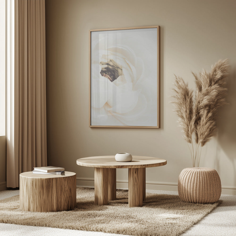 White Flower 01 Poster och Canvastavla