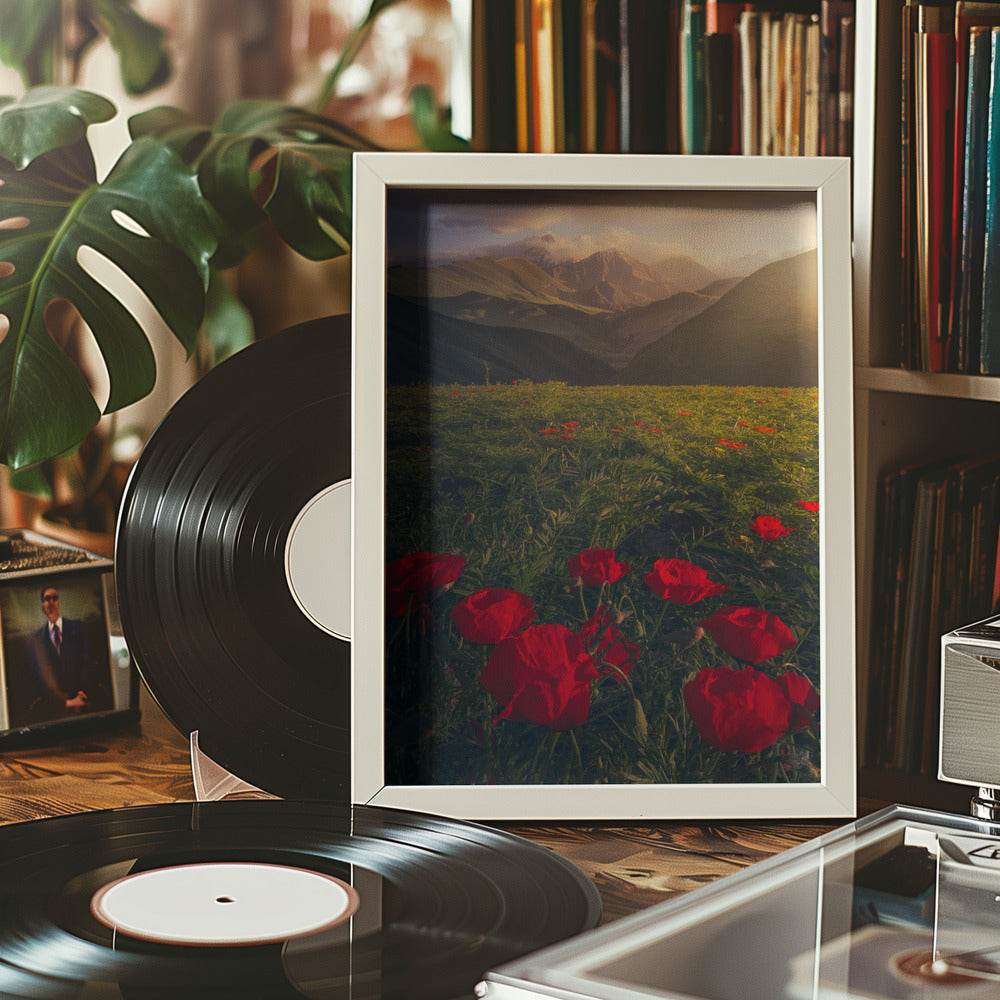 Flowers on Fire Poster och Canvastavla