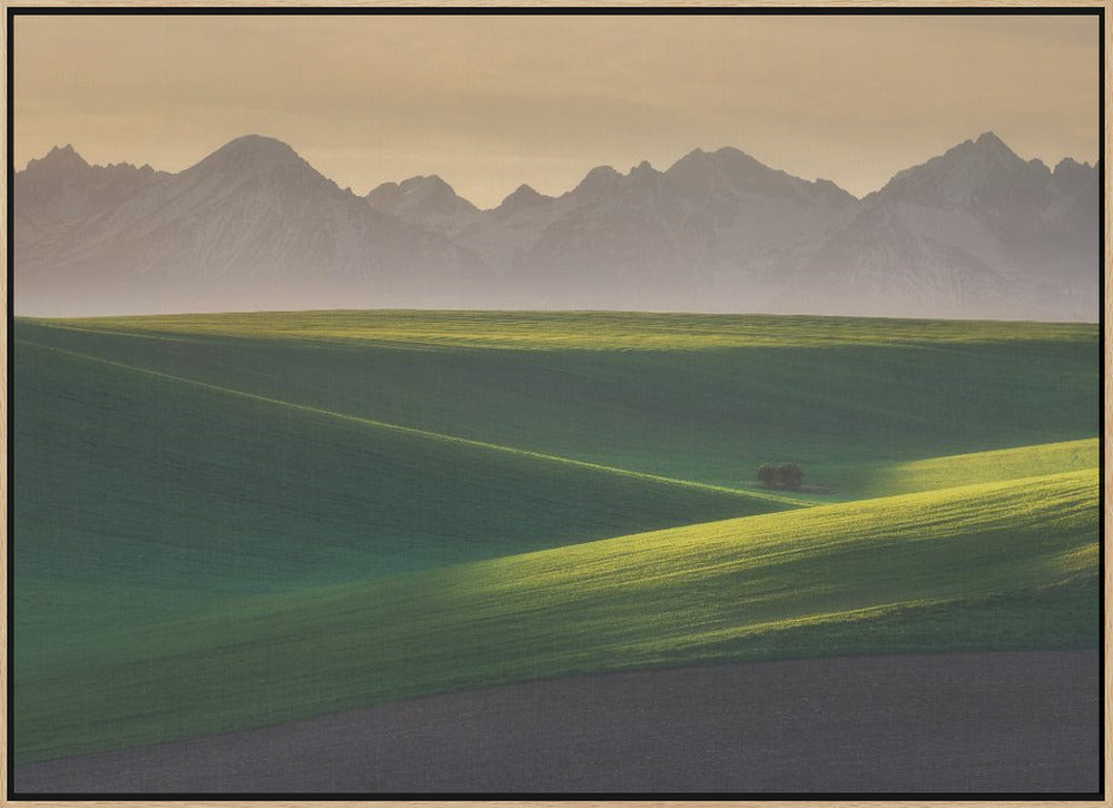 In the waves Poster och Canvastavla