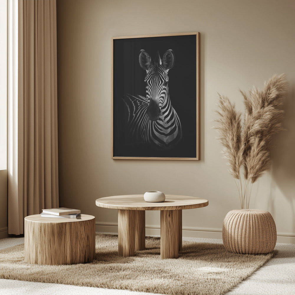The Zebra Poster och Canvastavla