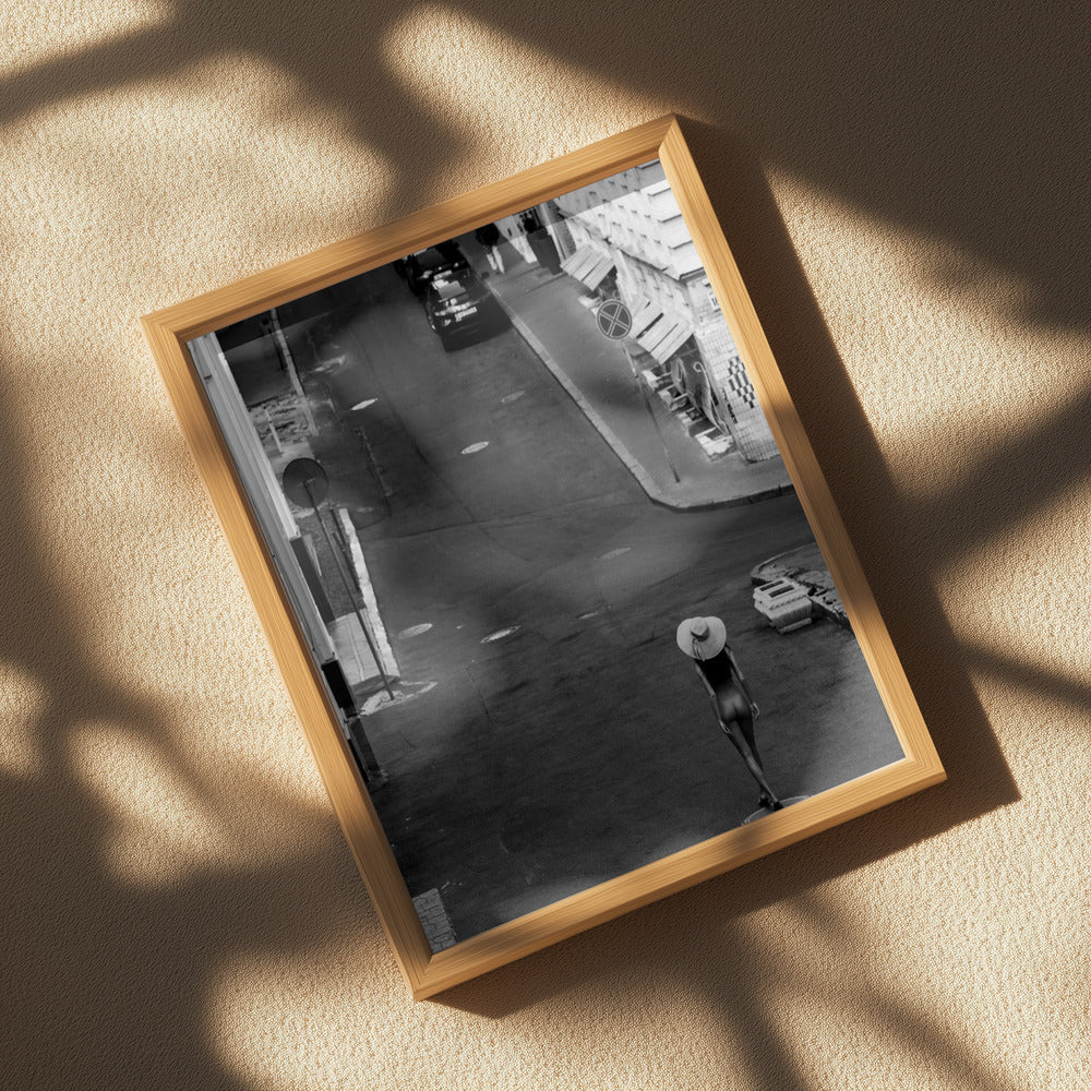 Freedom to Express Poster och Canvastavla