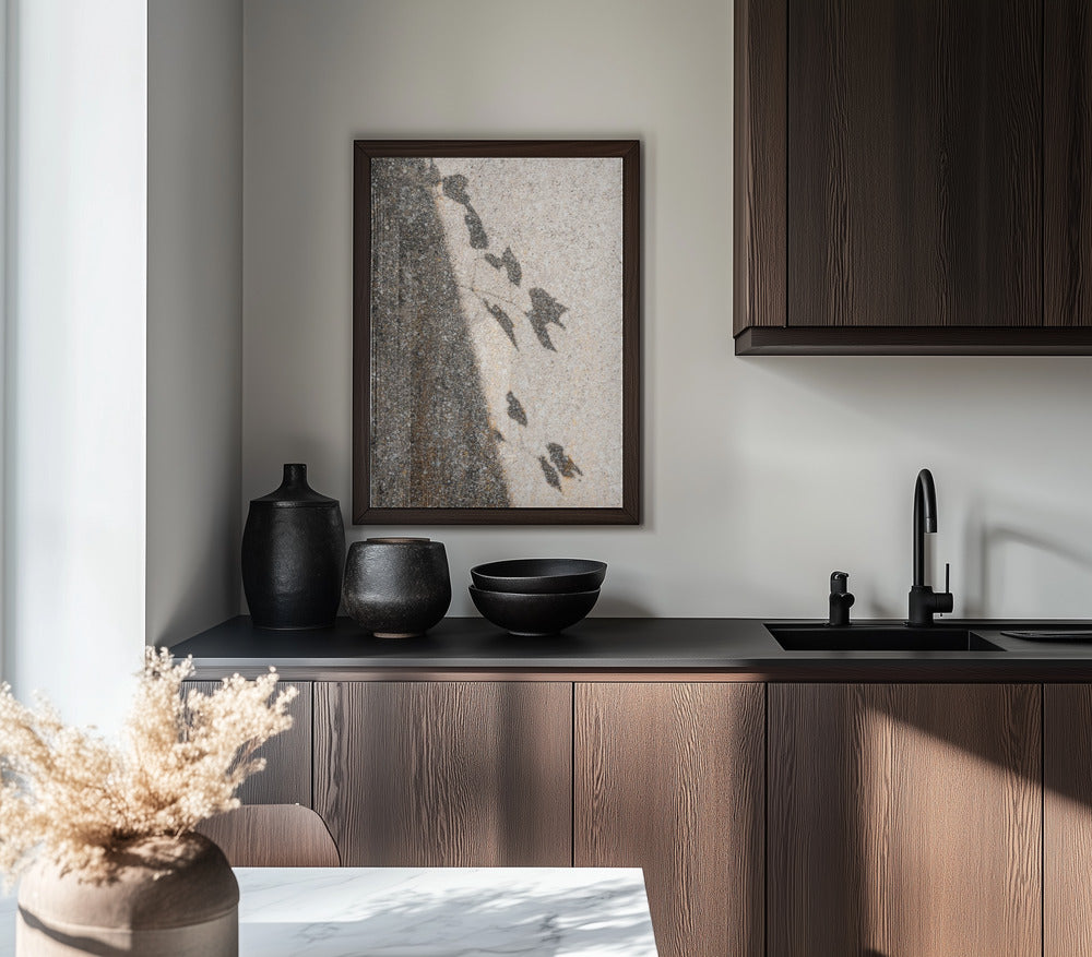 Botanical shadow on the wall Poster och Canvastavla