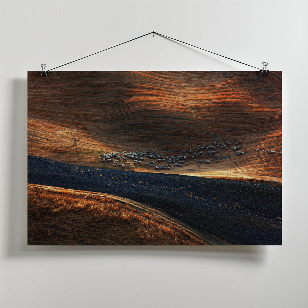 Il gregge 3 Poster och Canvastavla