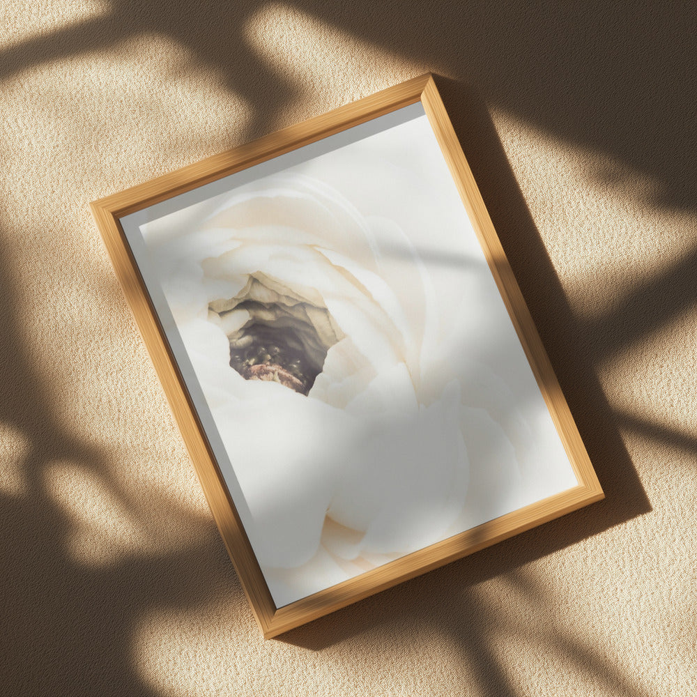 White Flower 01 Poster och Canvastavla