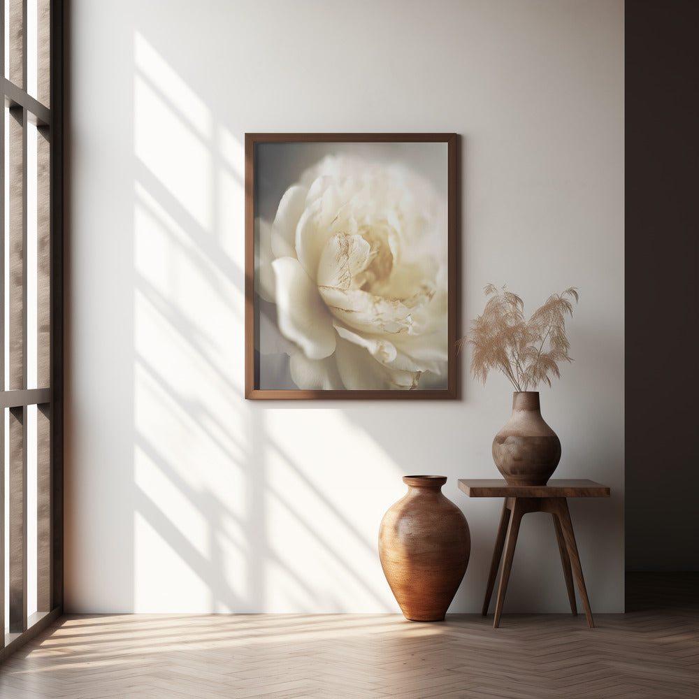 Peonyinsoftlight Poster och Canvastavla