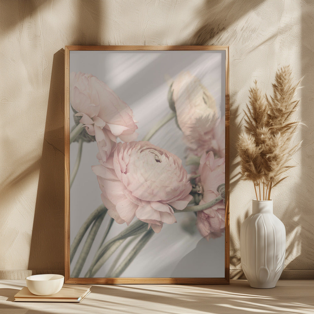 01644 Poster och Canvastavla