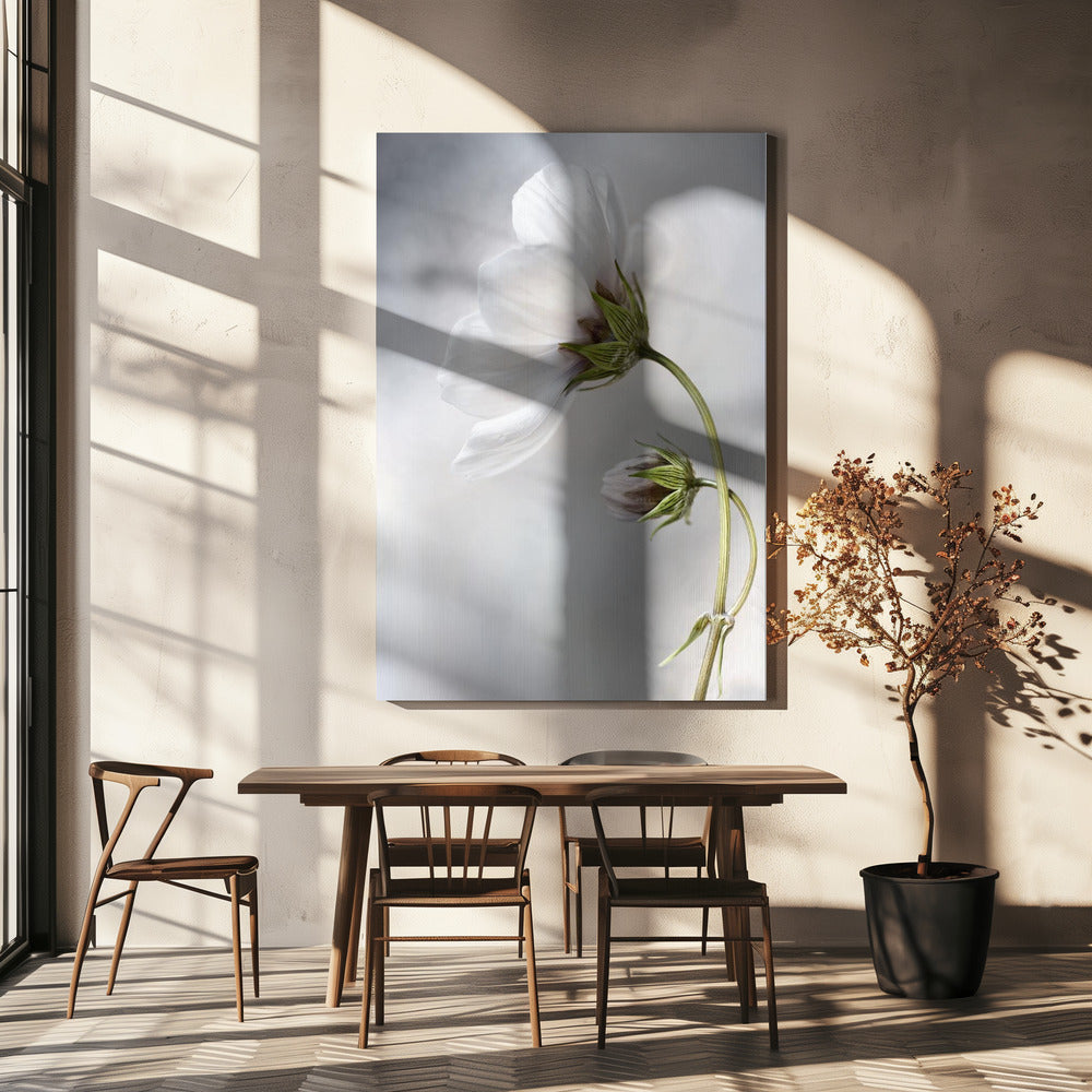 Heavenly Cosmos Poster och Canvastavla