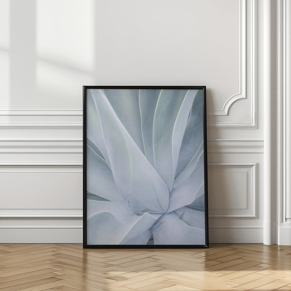 Crystal Cactus No2 Poster och Canvastavla