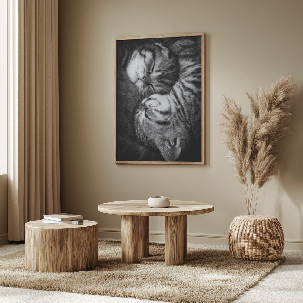 Yin and Yang Poster och Canvastavla