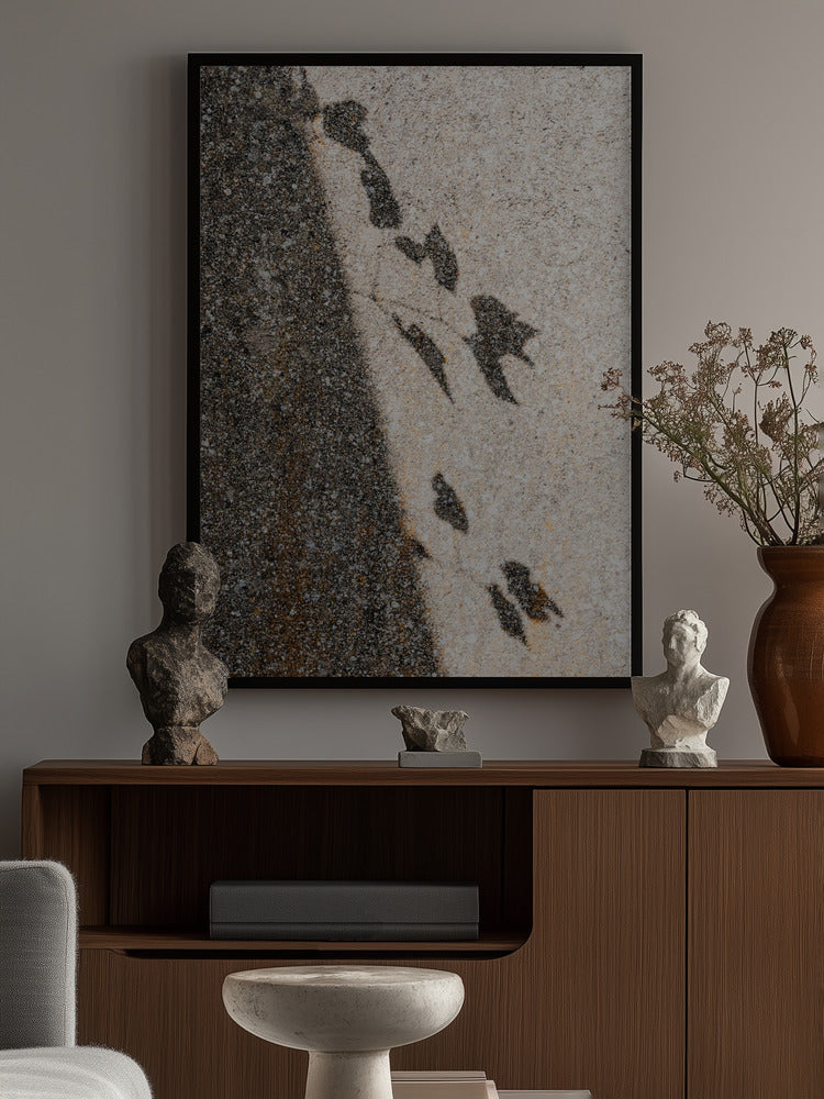 Botanical shadow on the wall Poster och Canvastavla