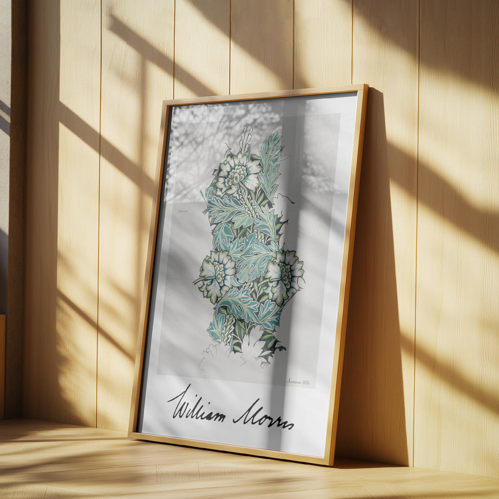 Anemone Poster och Canvastavla